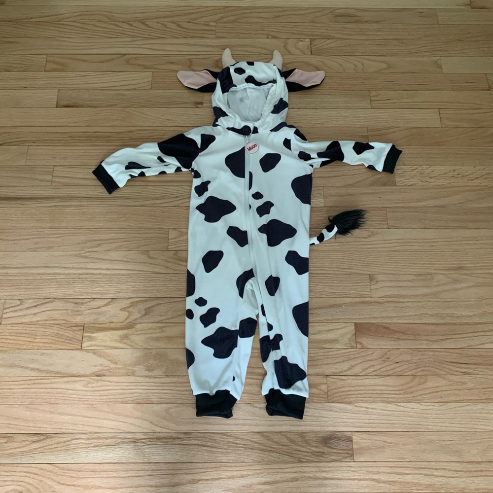 24m FAO cow costume